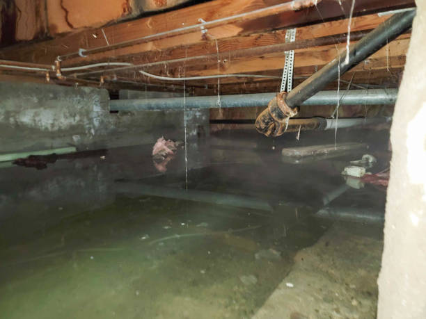 Best Emergency water damage restoration  in Trooper, PA