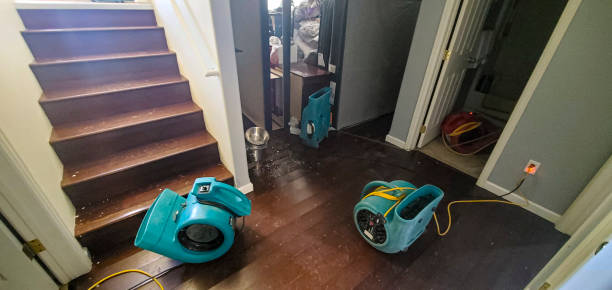 Best Ceiling water damage repair  in Trooper, PA