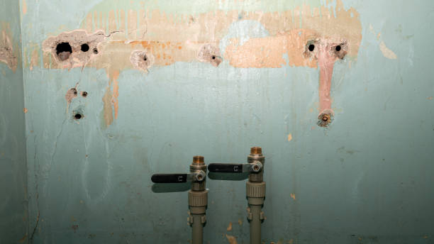 Best 24/7 water damage repair  in Trooper, PA