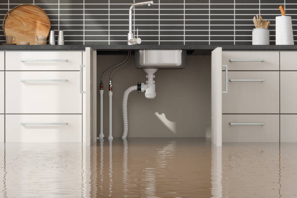 Water damage restoration experts in Trooper, PA